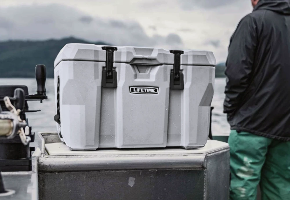 outdoor fridge cooler