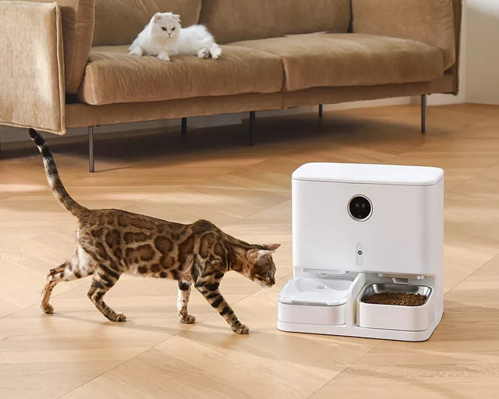 pet feeder with camera